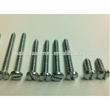 Fenda de cabeça de bandeja de aço inoxidável Self Tapping Screw